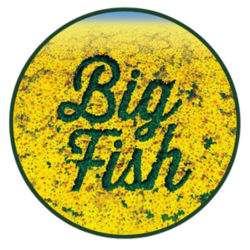 Big Fish